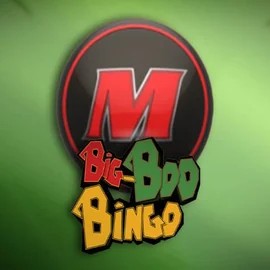 Big-Bod Bingo – slot by FBM, featured at robocatcasinoo.com