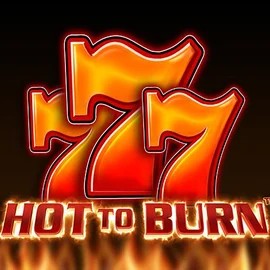 Hot To Burn slot visual from Pragmatic Play available on robocatcasinoo.com