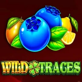 Wild Traces logo – Slots by Amusnet Interactive at Robocat Casino